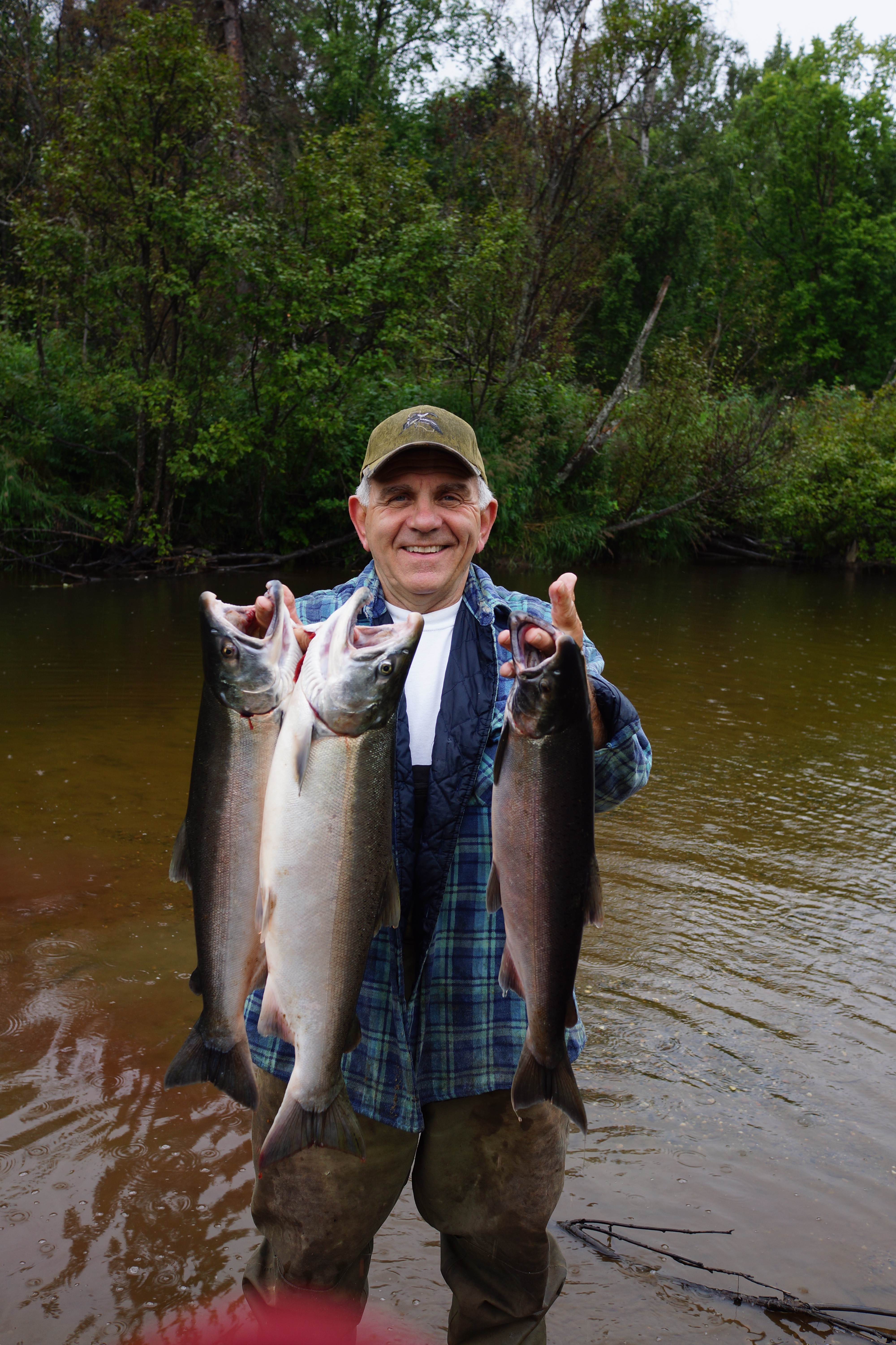  Salmon fishing in Alaska 